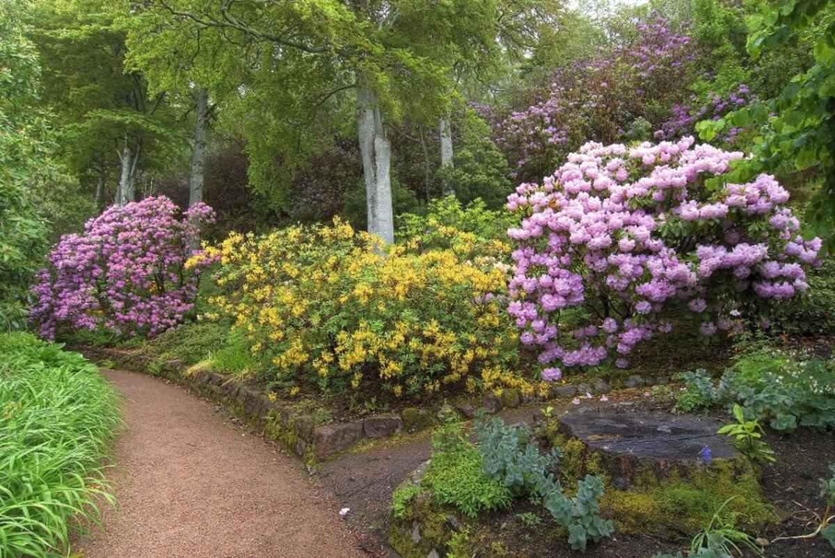 Inverewe Gardens
