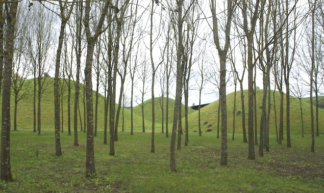 Reinheim Fürstinnengrab